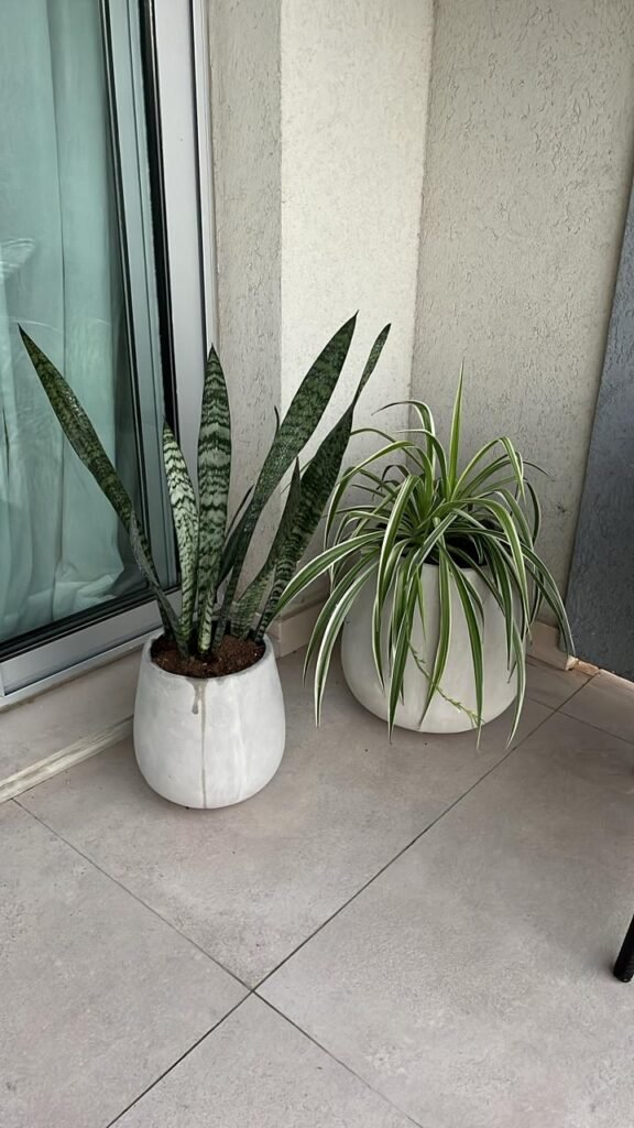 Insumos para jardines. Plantas, tierra, chip