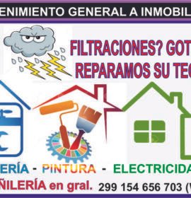 Mant gral- electricidad, plomería, pintura, techos