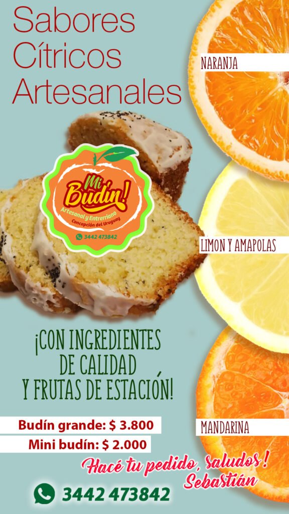 Diseñador Grafico