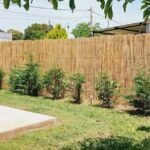 Cercos perimetrales de cañas