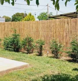 Cercos perimetrales de cañas