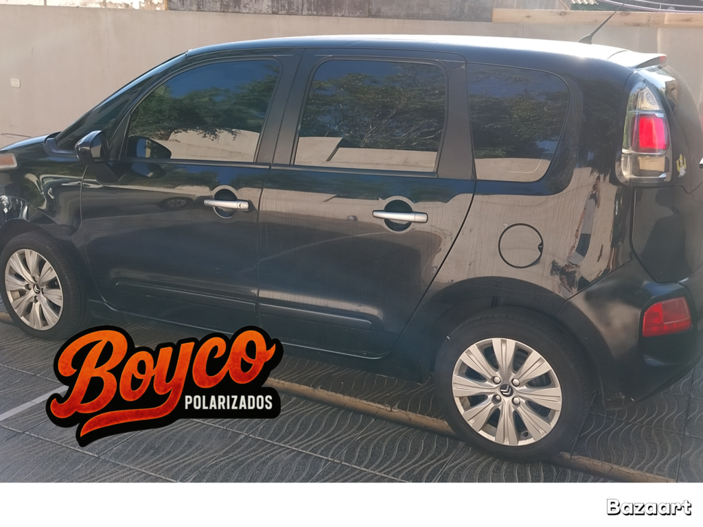 Polarizados
