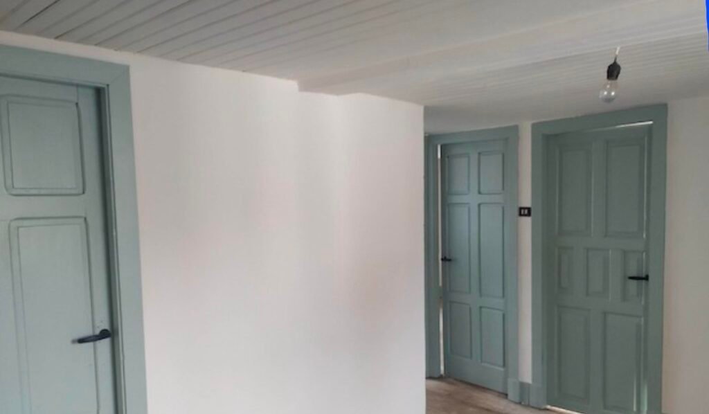 Pintado de casa y albañileria