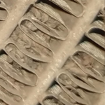 gm refrigeración, electricidad