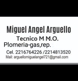 Maestro mayor de obras, plomero gasista.