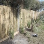 Cercos perimetrales de cañas