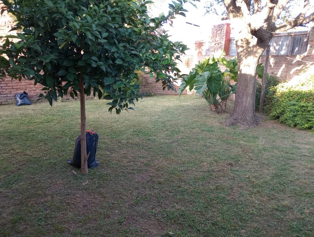 Jardinería Santiago Avellaneda