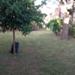 Jardinería Santiago Avellaneda