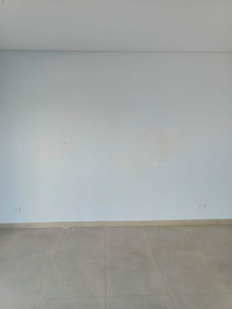 Pintor