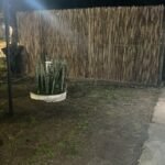 Cercos perimetrales de cañas