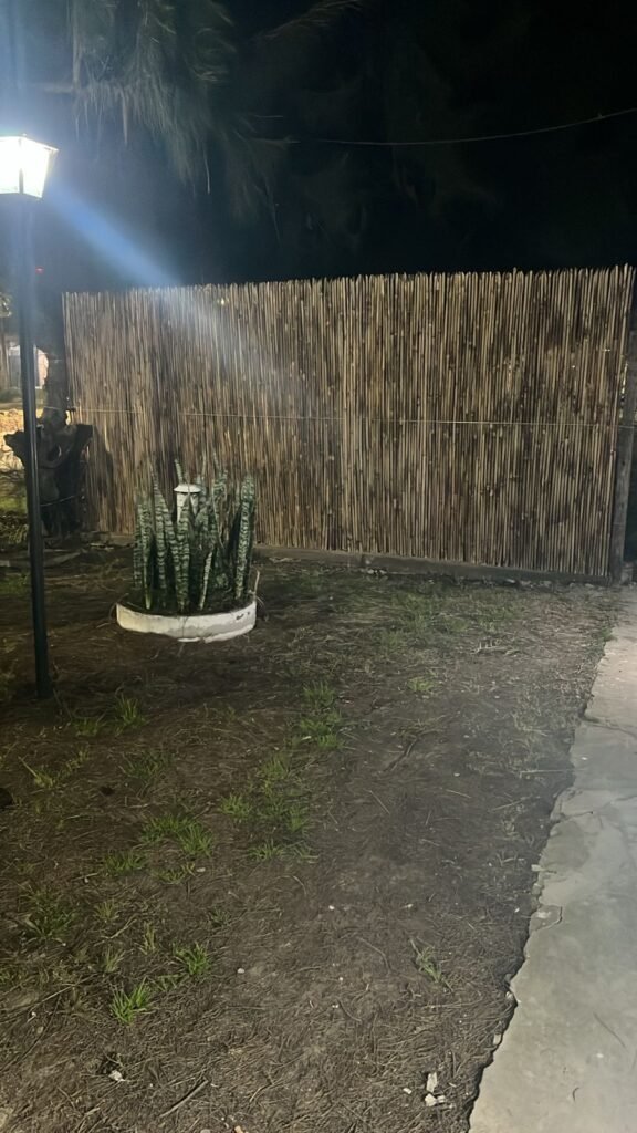 Cercos perimetrales de cañas