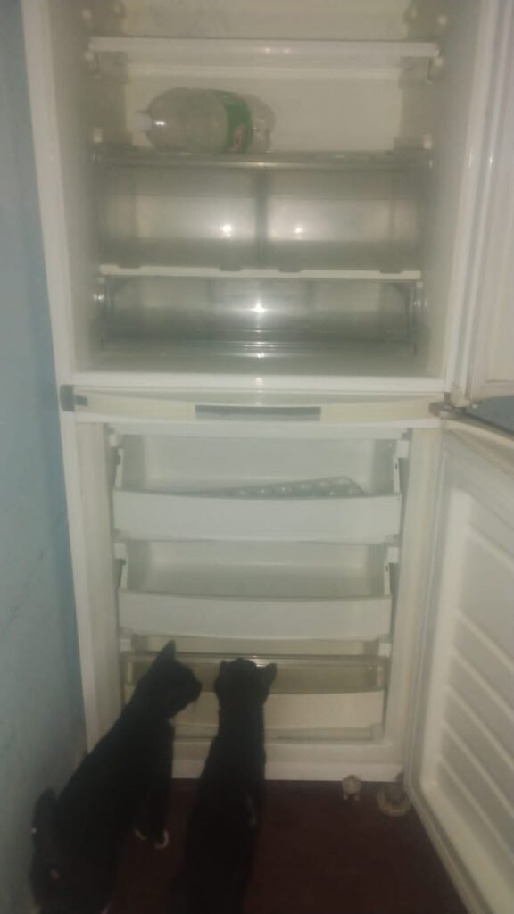 Refrigeración y lavarropas