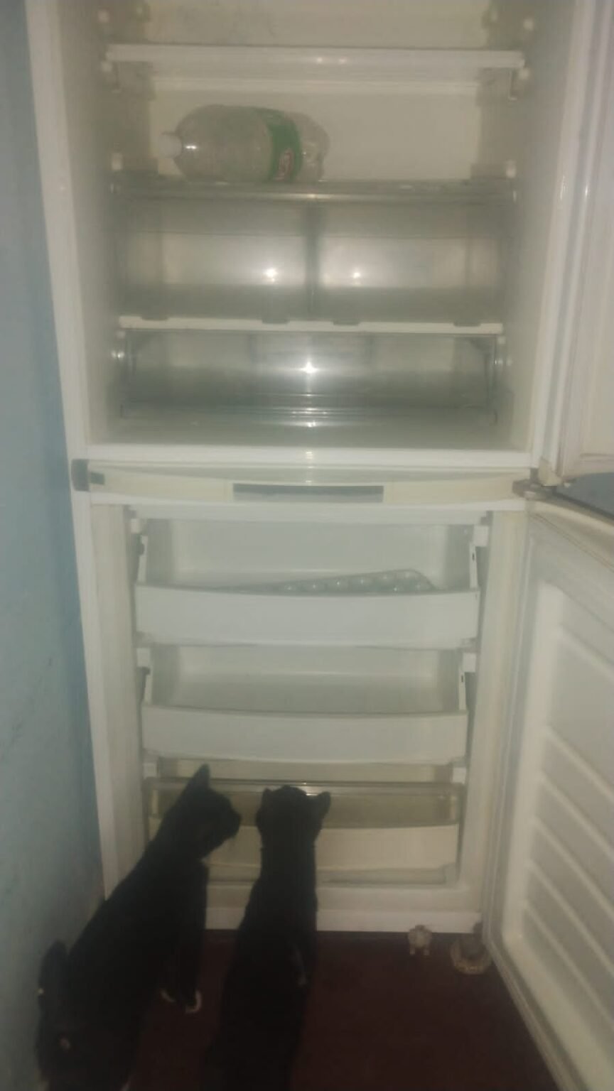 Refrigeración y lavarropas