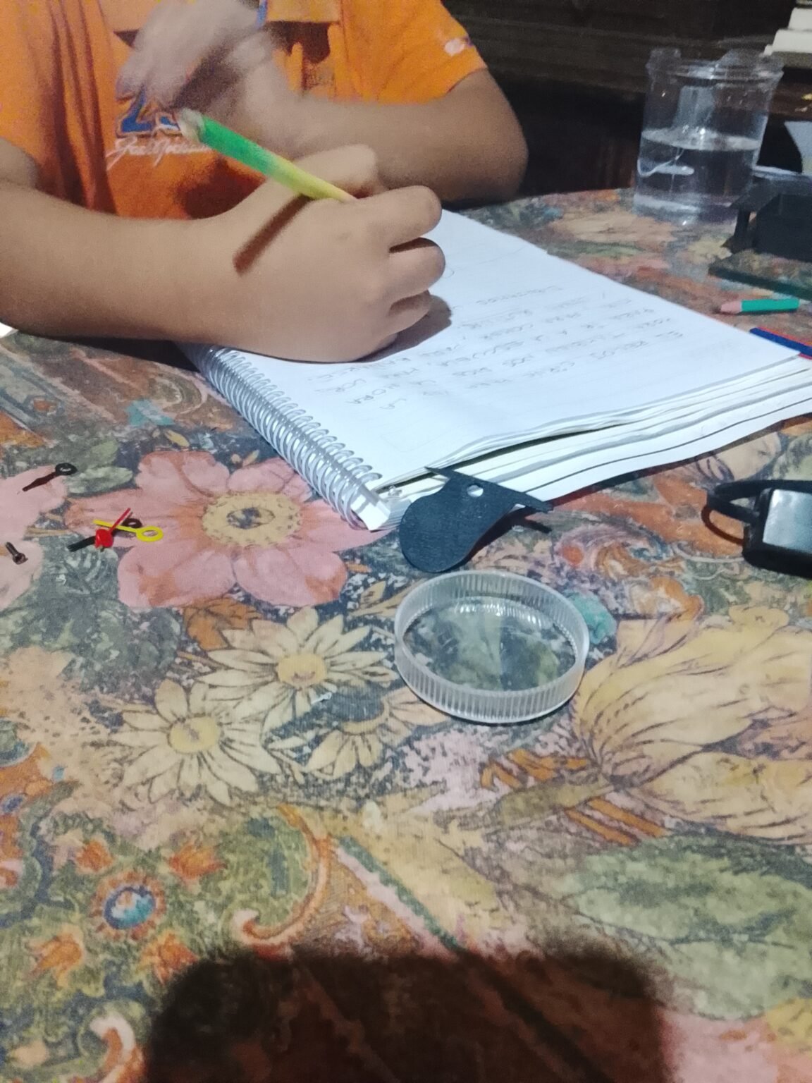 Atención Psicopedagogica/apoyo a la educación incluisva