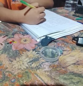 Atención Psicopedagogica/apoyo a la educación incluisva