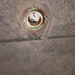 Plomero & Sanitarista