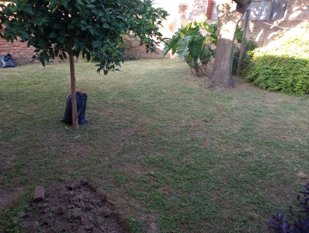 Jardinería Santiago Avellaneda