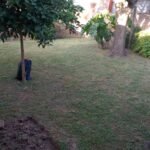 Jardinería Santiago Avellaneda