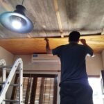 Carpintero Carpintero