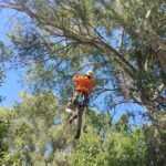 Trabajos en altura Trabajos en altura