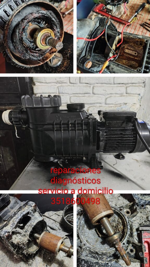Servicios y diagnosticos