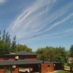 Limpieza de oficinas,corte de cesped y mantenimiento de jardin, chofer y experiencia en seguridad privada