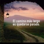 Cuidado de niños y de adultos mayores