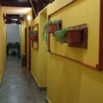 Pintura y carpinteria