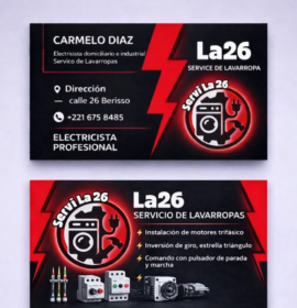 Service de lavarropa y seca ropa