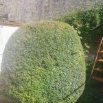 Gasista matriculado y trabajos en general