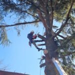 Trabajos en altura Trabajos en altura