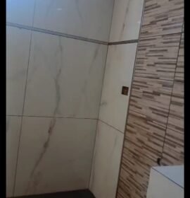 Alexis construcción y colocador