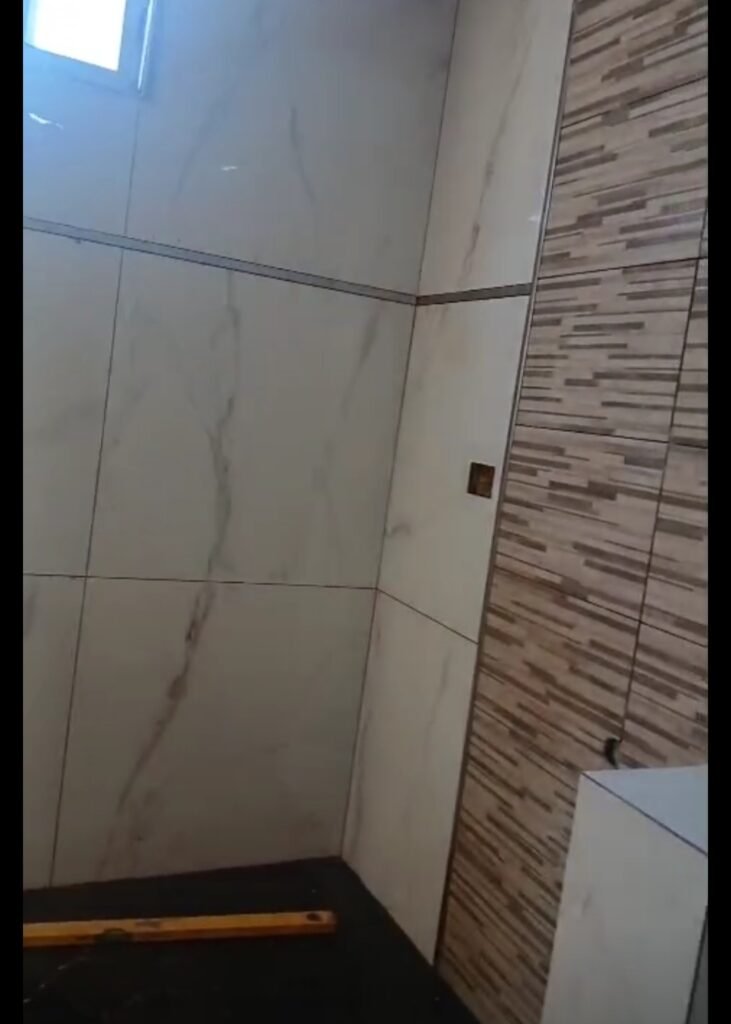 Alexis construcción y colocador