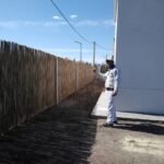 Cercos perimetrales de cañas