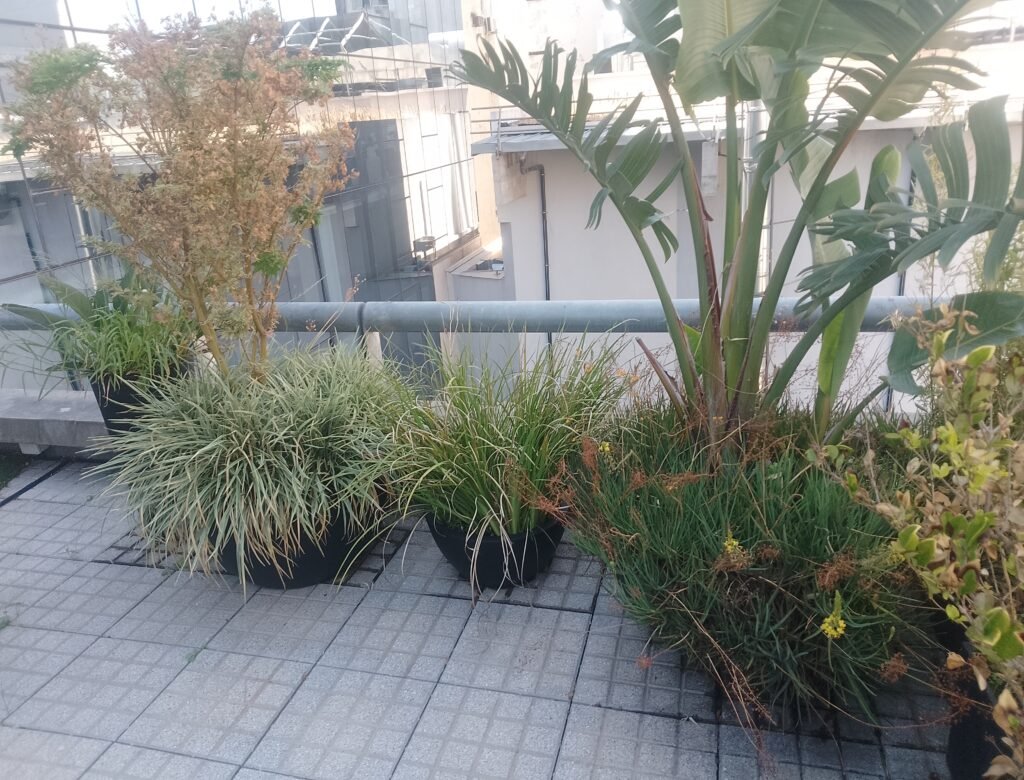 Jardinero