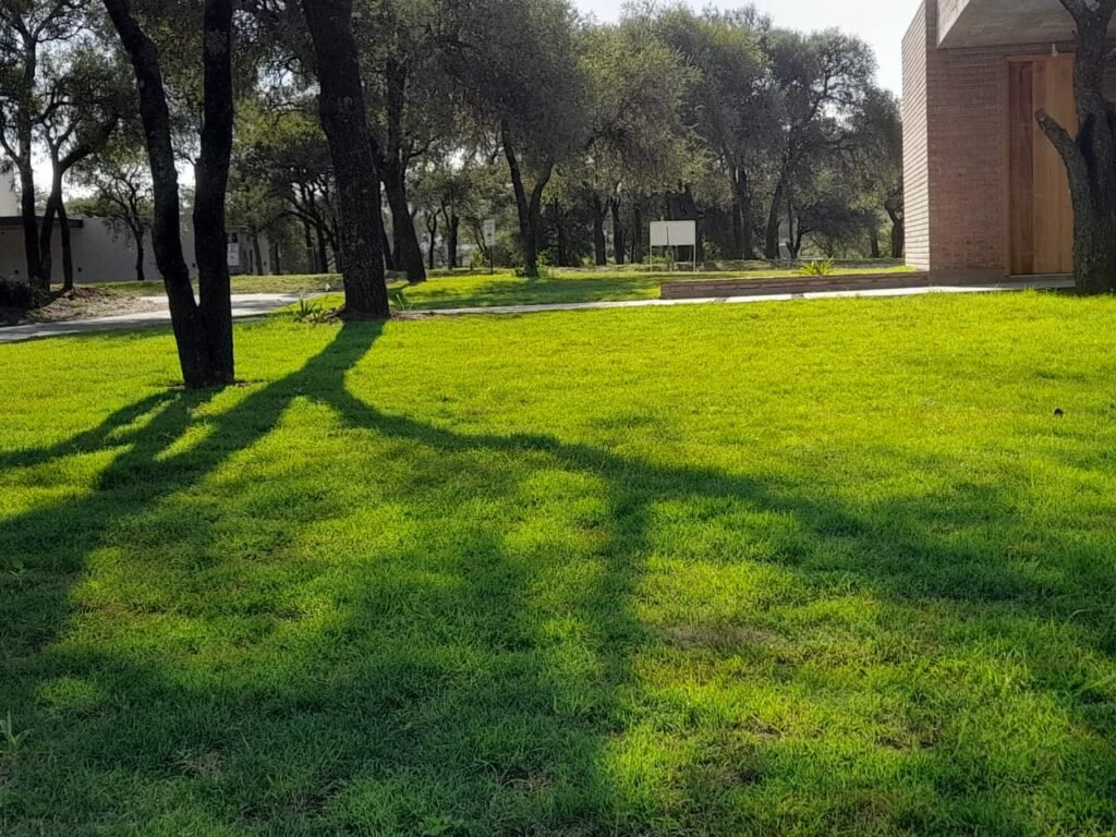 Venta y instalación de césped Y s