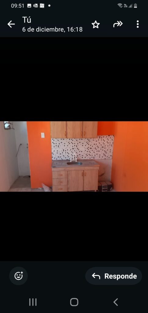 Pintor y construcción en seco
