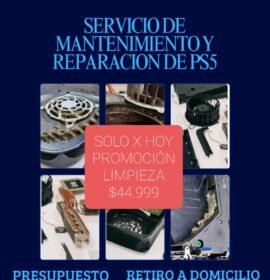 Pablo Paula Pueyrredon