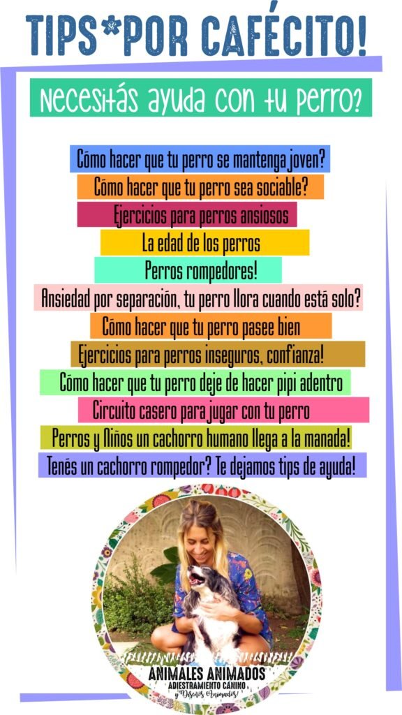Adiestramiento Canino