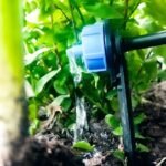 mantenimiento e instalación de sistemas de Riego mantenimiento e instalación de sistemas de Riego