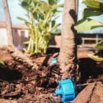 mantenimiento e instalación de sistemas de Riego mantenimiento e instalación de sistemas de Riego