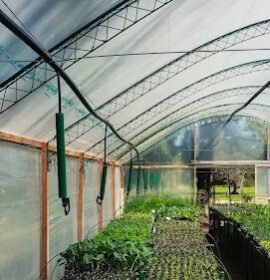 mantenimiento e instalación de sistemas de Riego