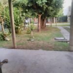 Jardinería y barbería