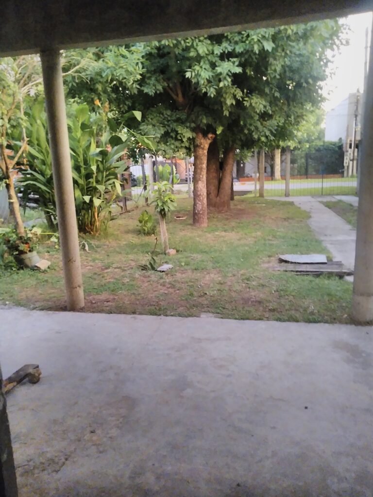 Jardinería y barbería