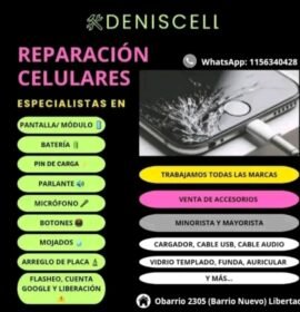 Servicio Técnico Celulares