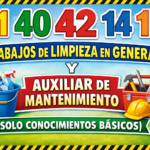 Limpieza auxiliar de mantenimiento