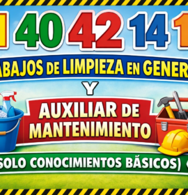 Limpieza auxiliar de mantenimiento