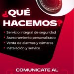 Seguridad Electrónica