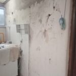 Albañilería y pintura Albañilería y pintura