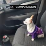 Tecnico informático